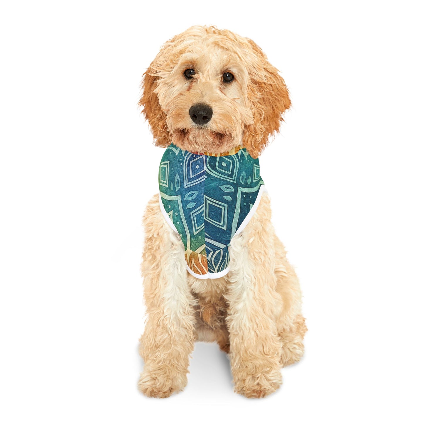 RainBoHo Pet Hoodie