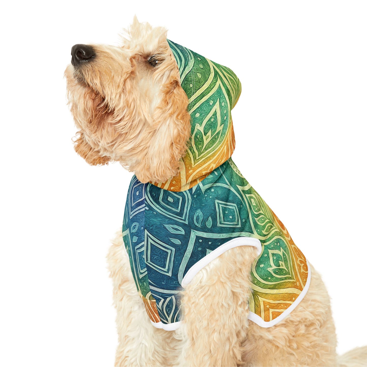 RainBoHo Pet Hoodie