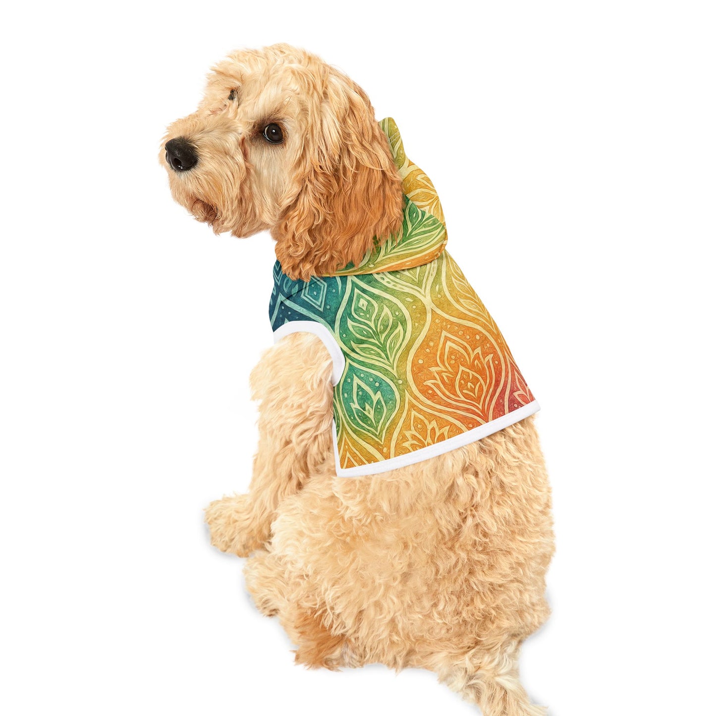 RainBoHo Pet Hoodie