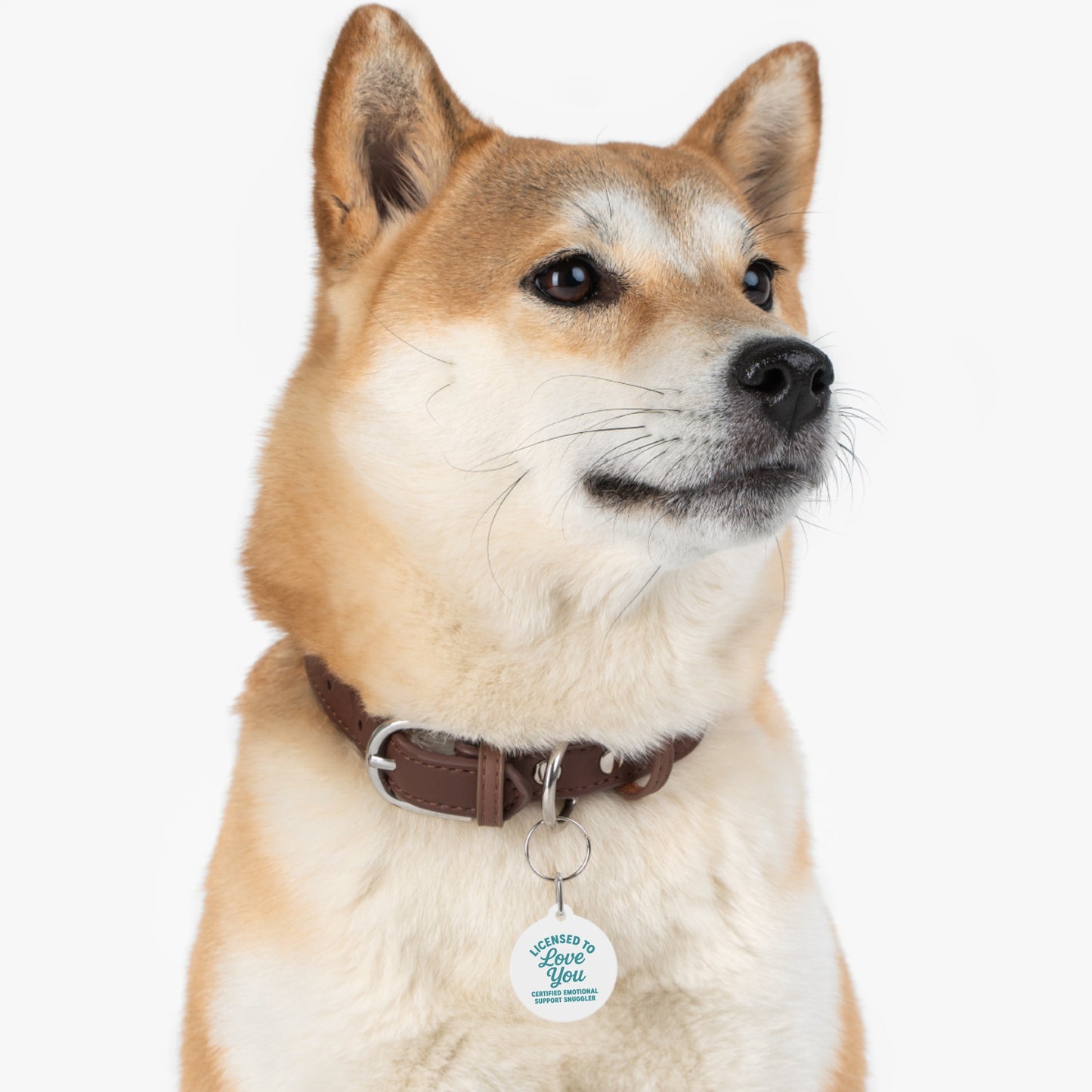 "Licensed to Love You" Pet Tag