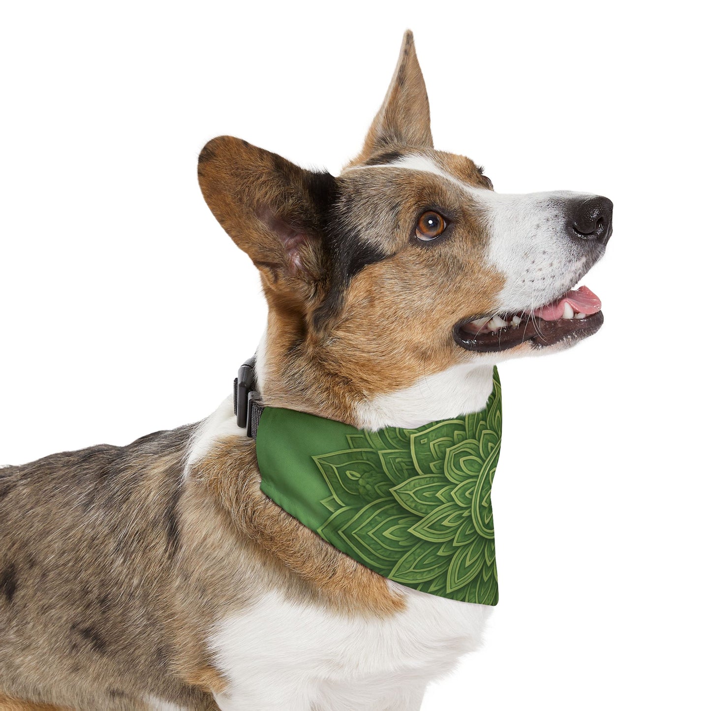 Sage Strength Pet Bandana