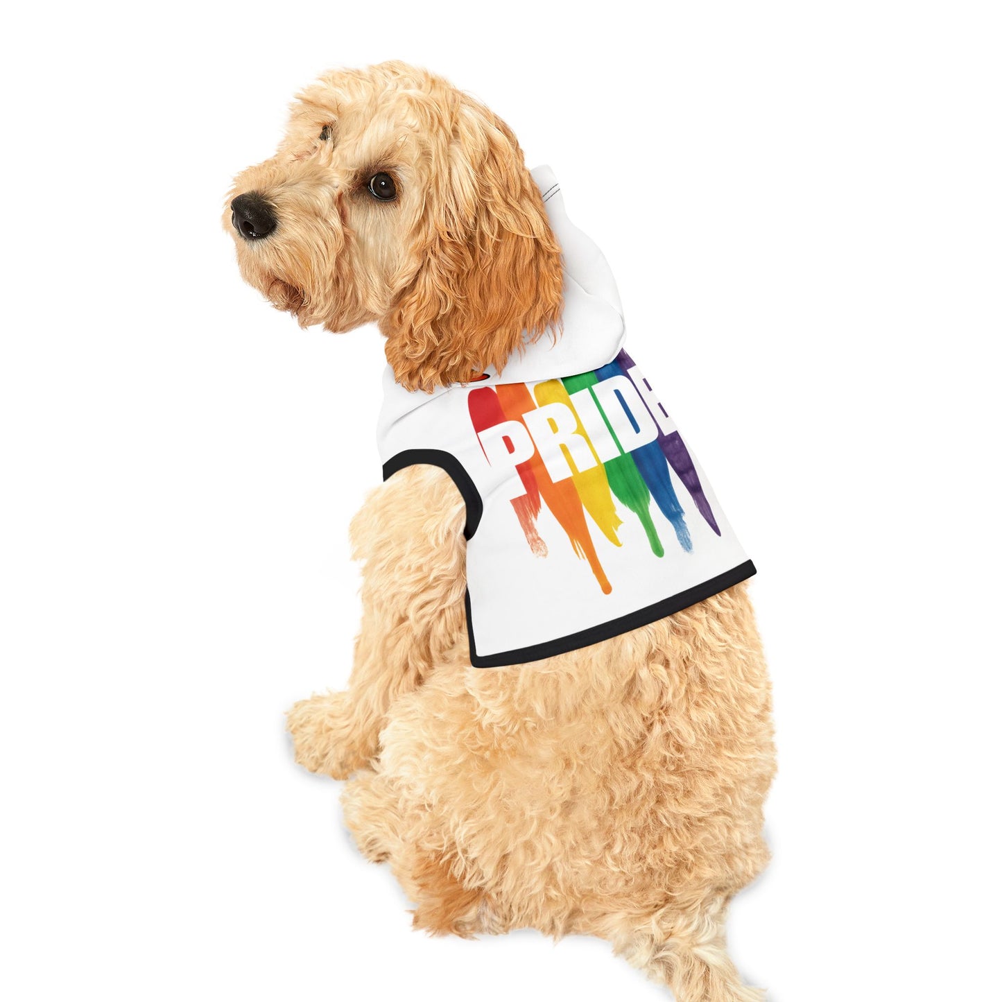 Colorful Pet Hoodie with Butterfly Design, Cozy Dog Sweater for Fall, Cute Cat Outfit for Special Occasions, Gift for Animal Lovers