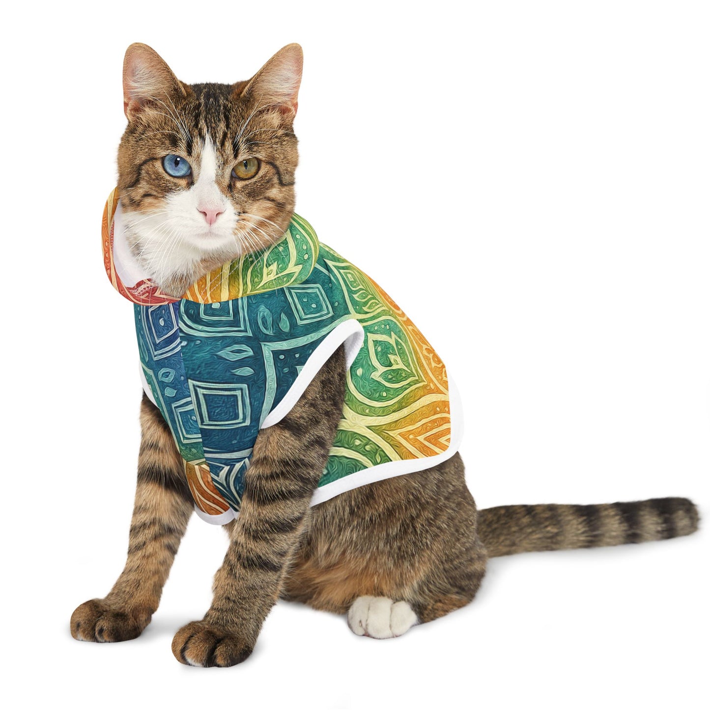 RainBoHo Pet Hoodie