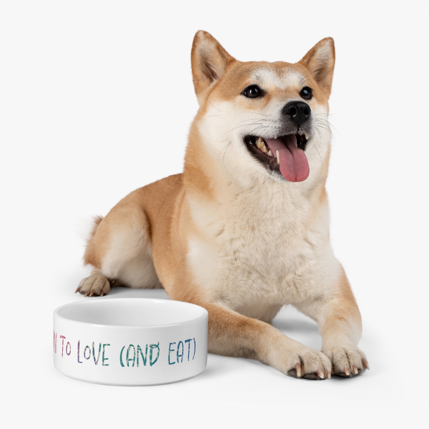 Born to Love (and Eat) Pet Bowl