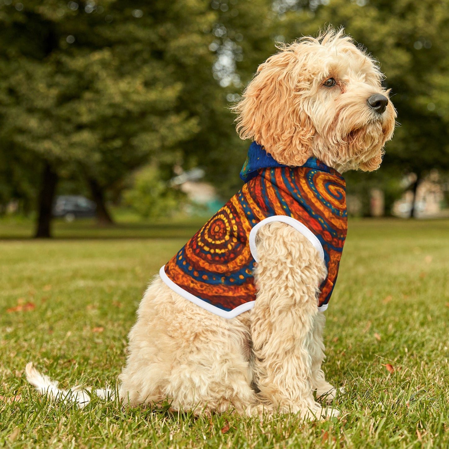 Sacred Patterns Pet Hoodie