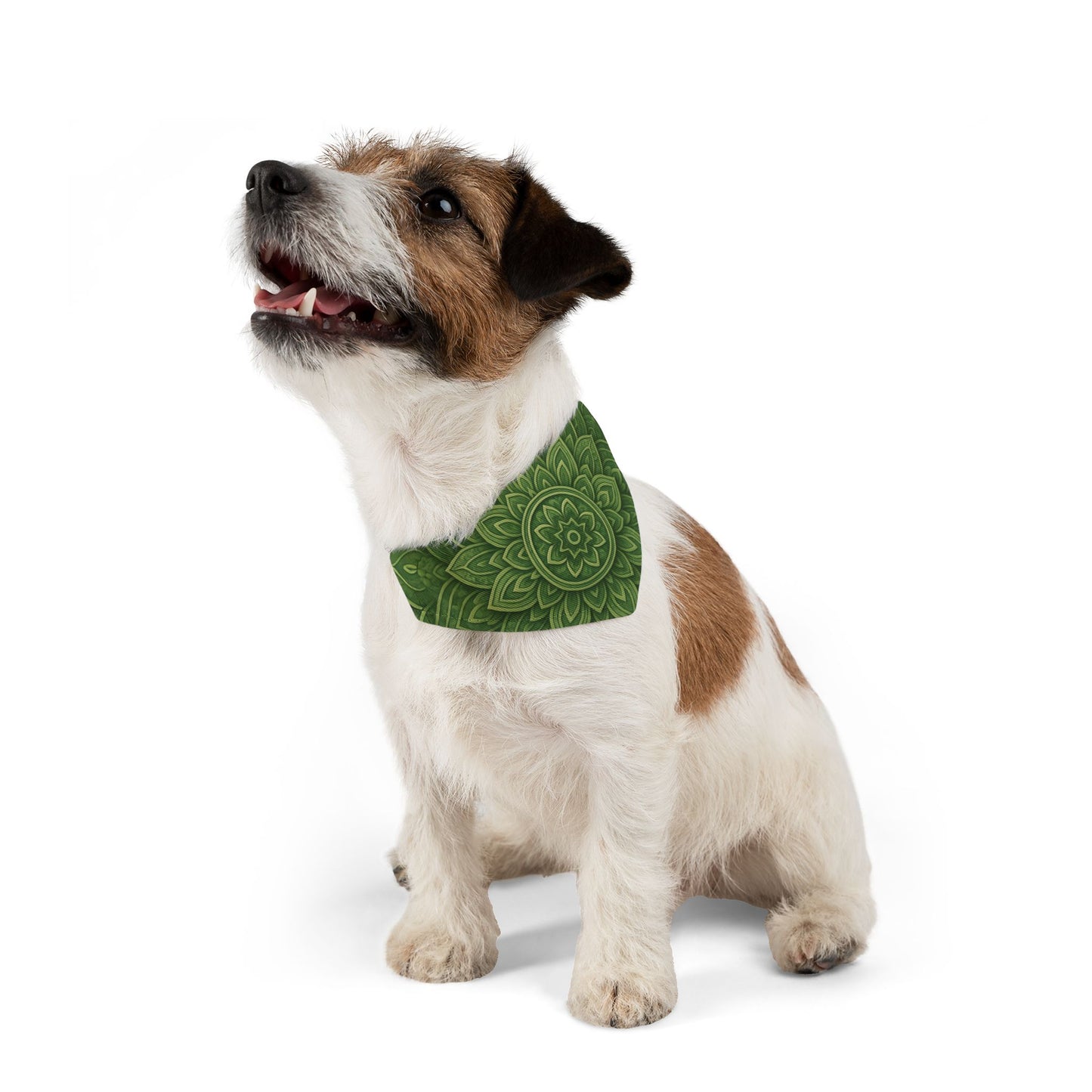 Sage Strength Pet Bandana
