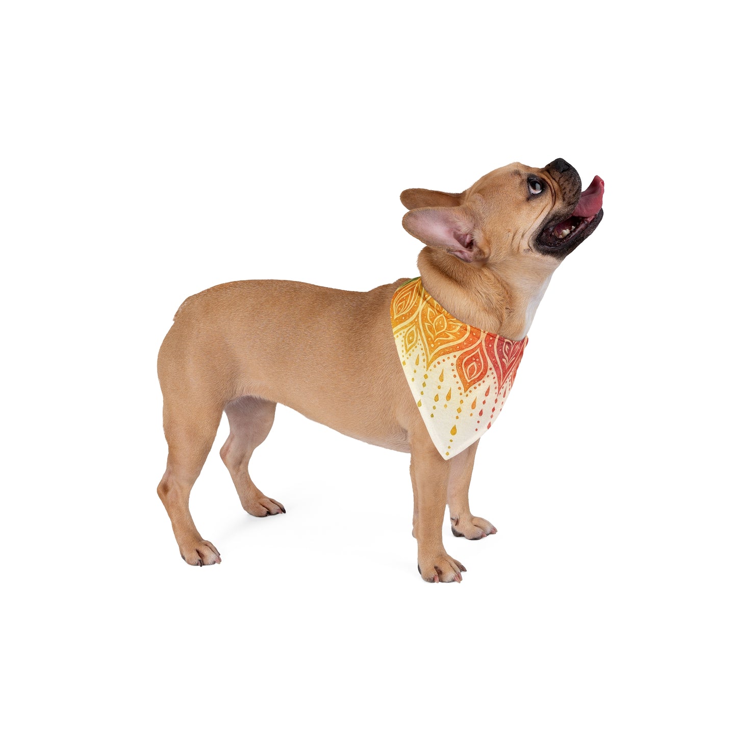RainBoHo Pet Bandana