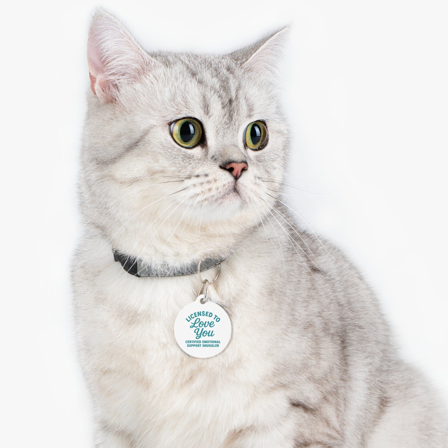 "Licensed to Love You" Pet Tag