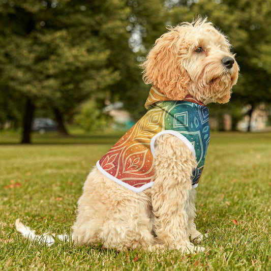 RainBoHo Pet Hoodie