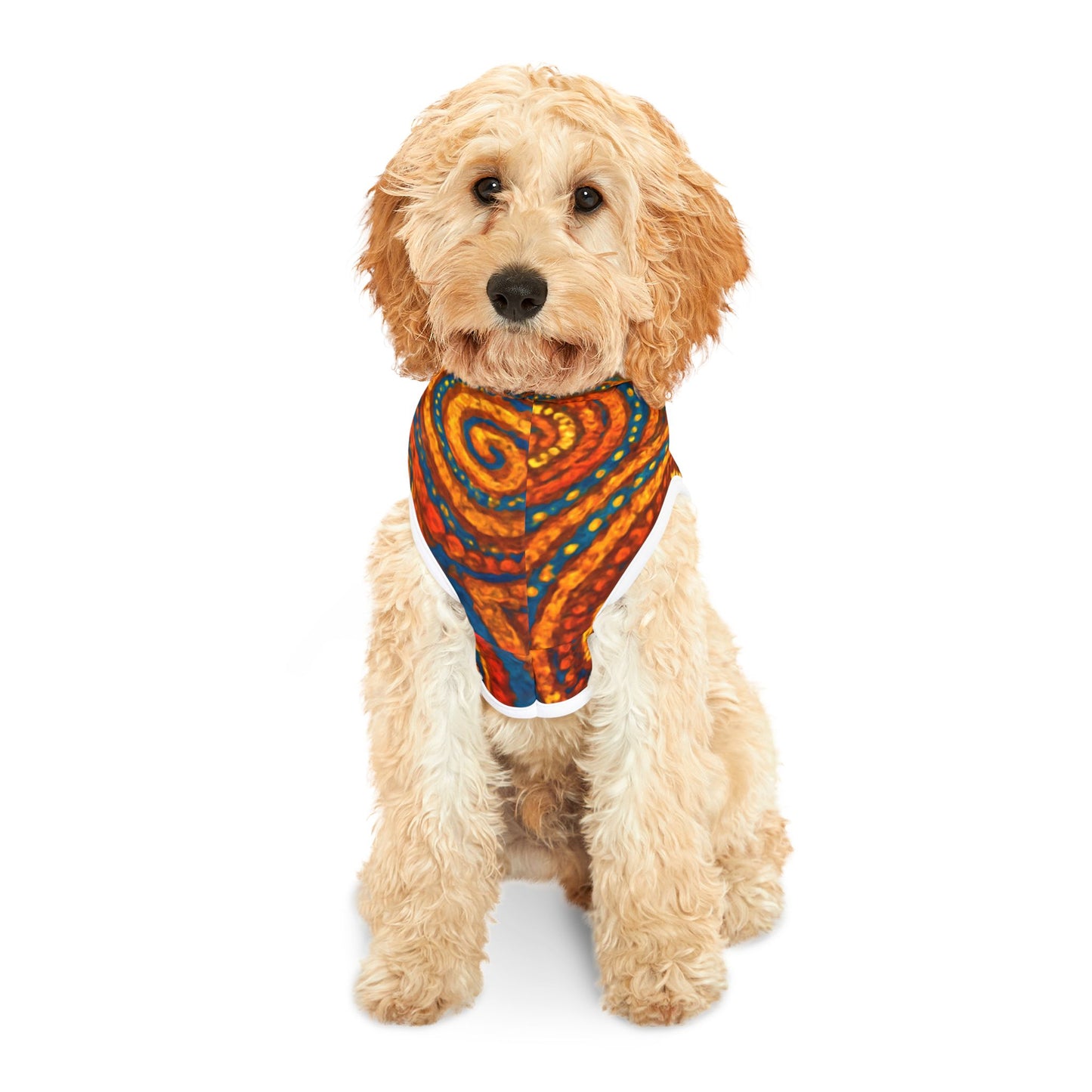 Sacred Patterns Pet Hoodie
