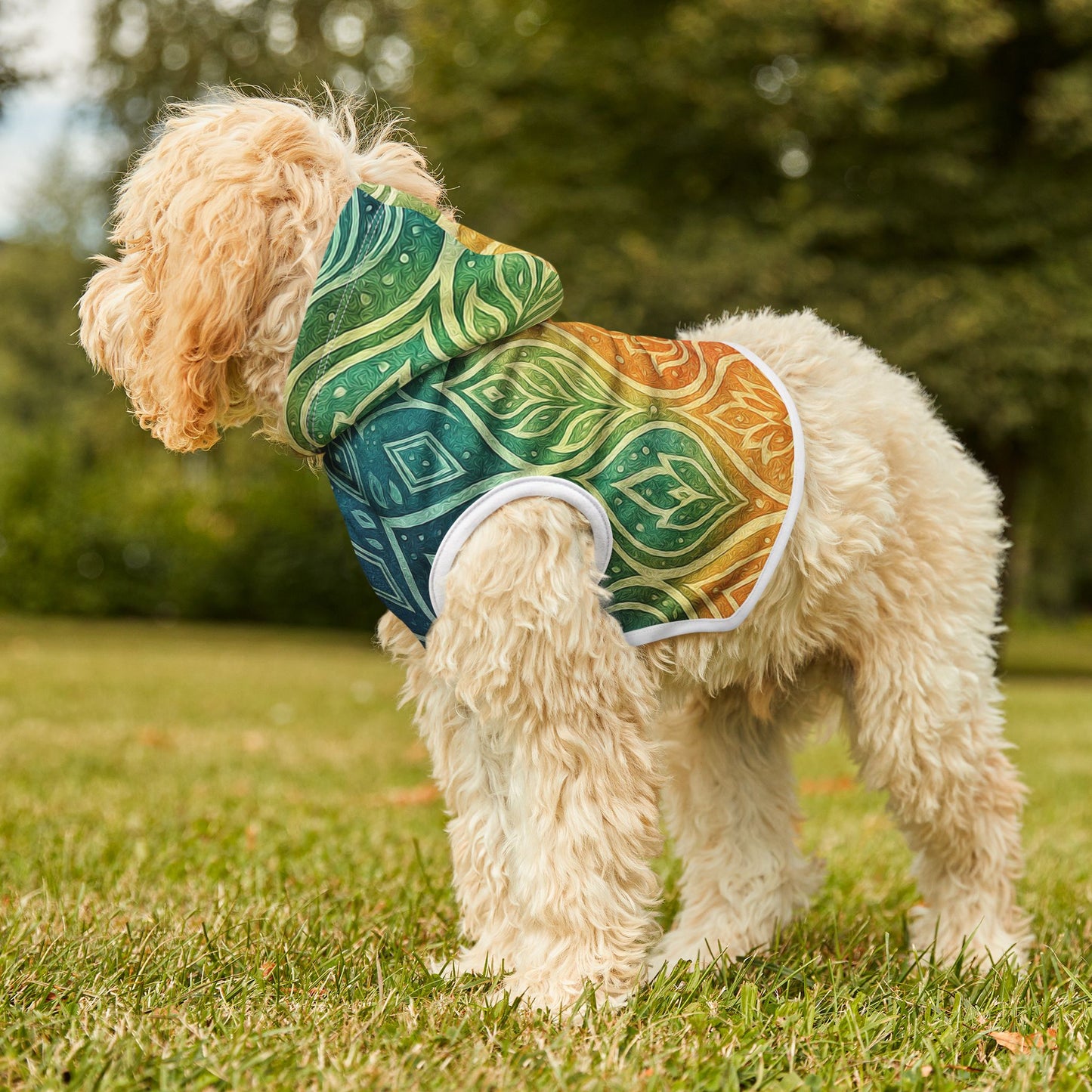 RainBoHo Pet Hoodie